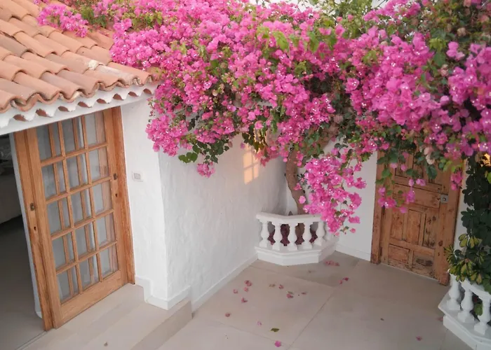 Casa Xuixo In Tenerife South Vakantiehuis Guía de Isora